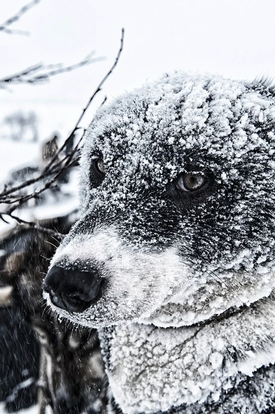 Food-Fotografie Hamburg